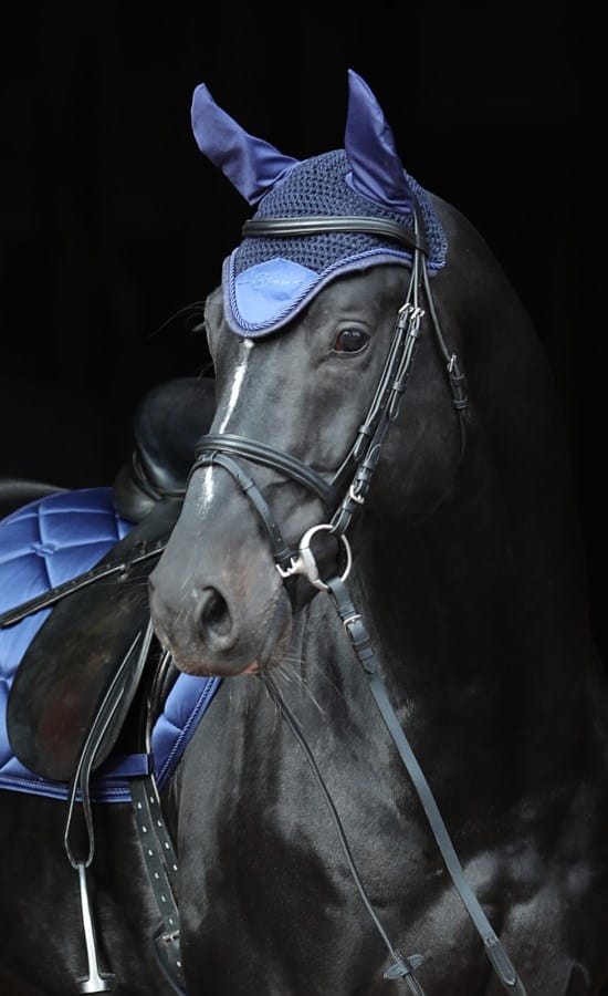 Fliegenhaube Empara - dezentes Glitzer | Größe: Cob / Full