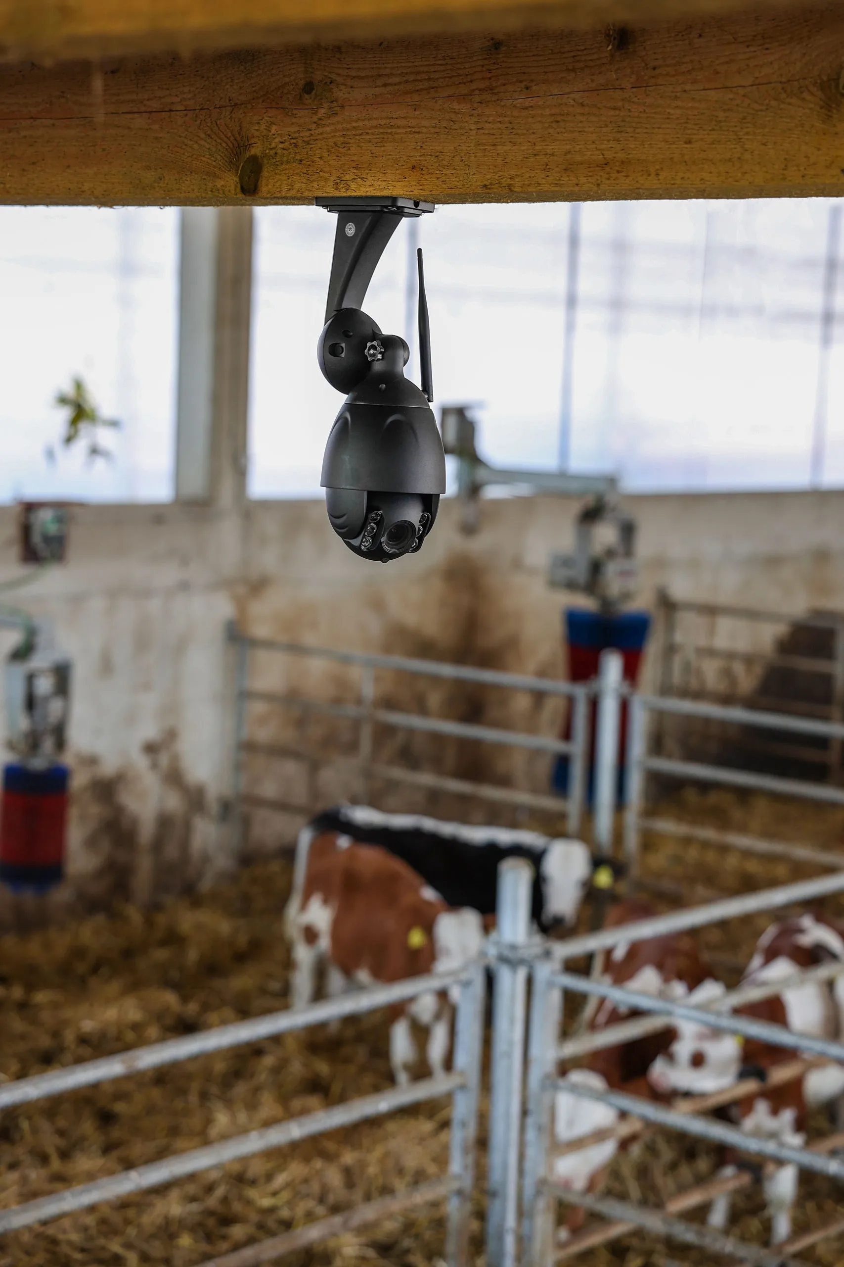 IPCam 360 FHD Stallkamera mit 5-fach Zoom – Überwachung für Pferde & Rinder