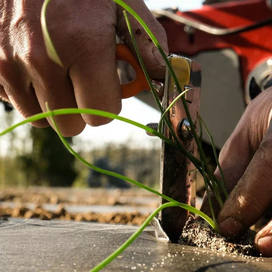 Handpflanzer NIFTY PLANT 40 mm – Ergonomischer Profi-Pflanzer für präzises Umpflanzen