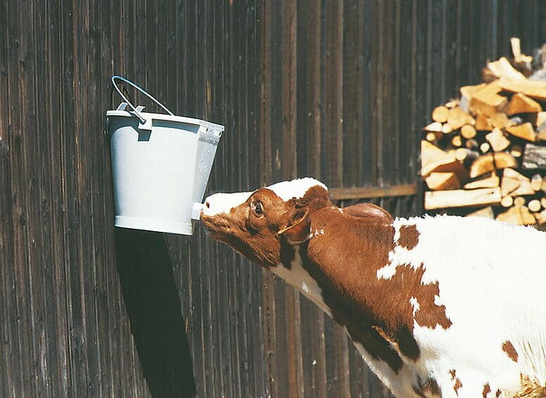 70034 Kälbertränkeeimer Kunststoff