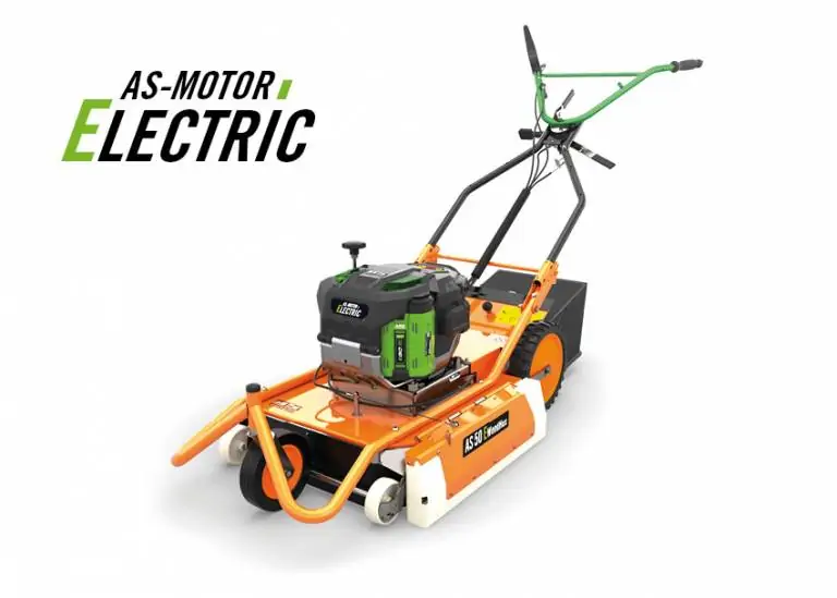 BL14199 Wildkrautentferner AS 50 EWeedHex