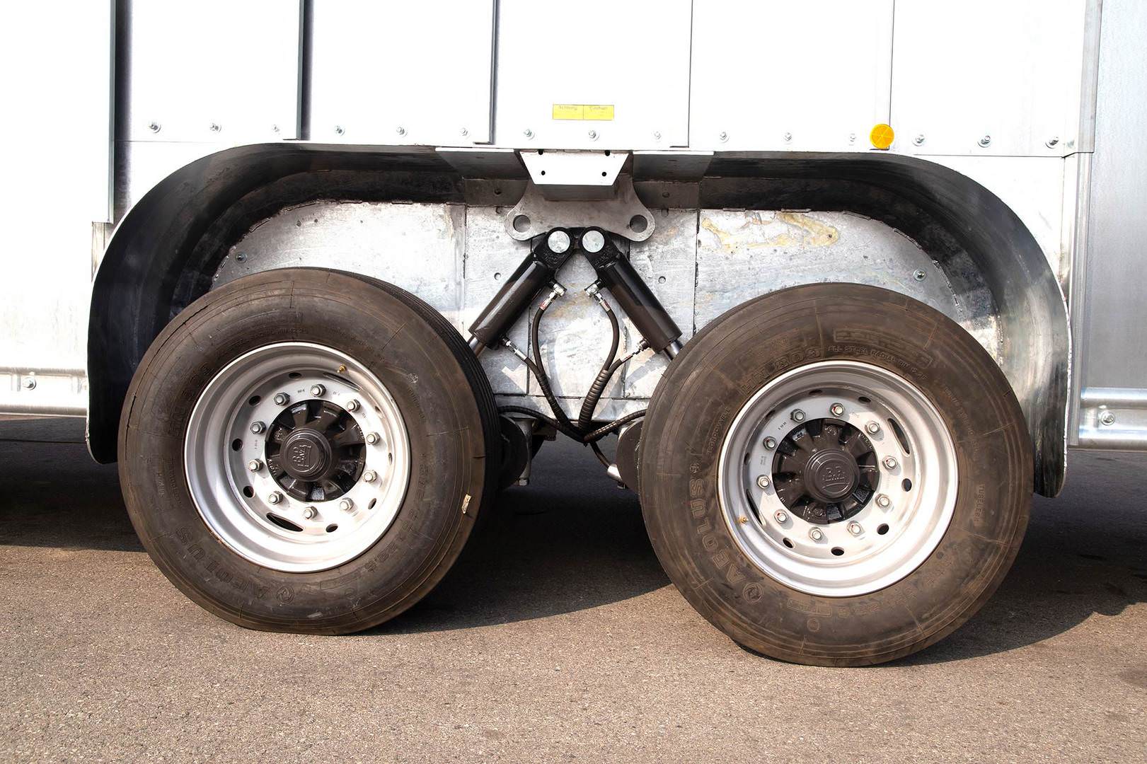 Fliegl livestock transport trailer tandem - TTW 140