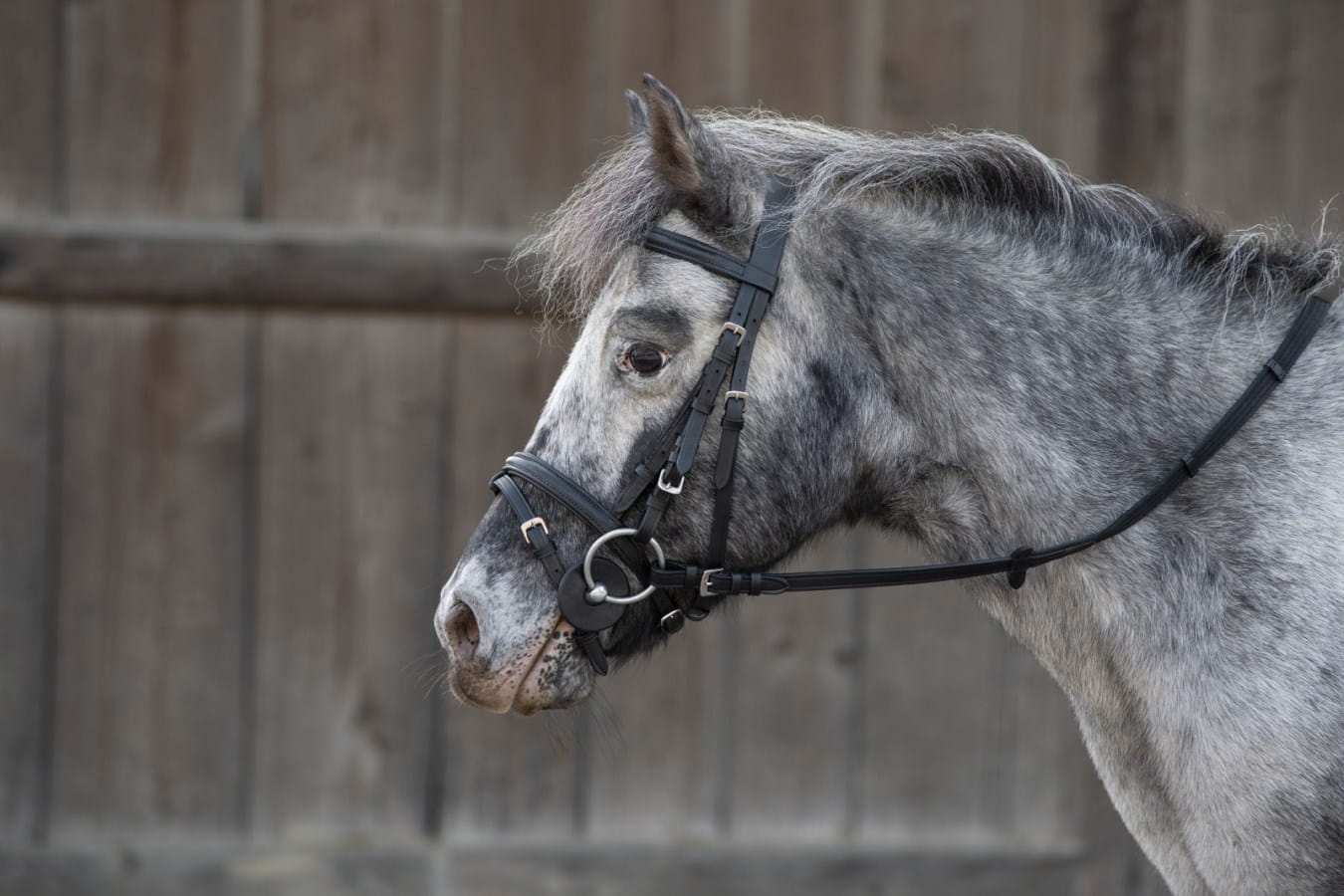 Kerbl Bit Discs - 2 Pieces | Mouth Corner Protector | 7 cm