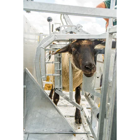 Patura Behandlungsstand - Typ L