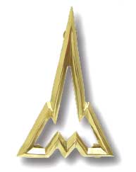 BL22480 Emblem