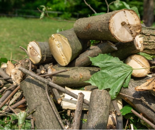 Remet CNC Holzhacker RS100 mit Benzinmotor (15PS)