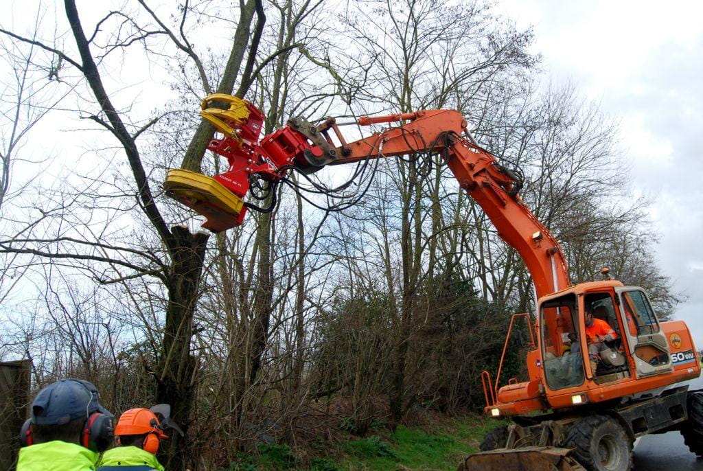 Rabaud excavator felling grapple / tree cutter - XYLOCUT PE