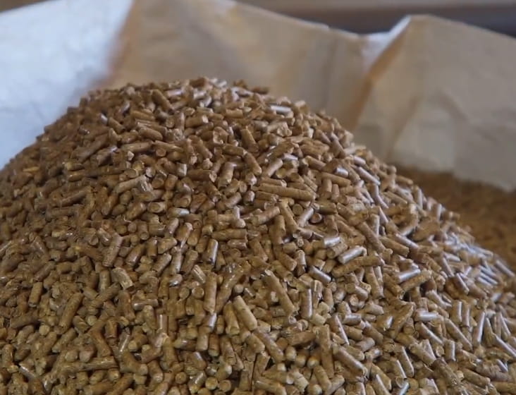 Pelletpresse 700 kg/h | Hochleistungs-Granulator 30 kW | Futtermittelproduktion