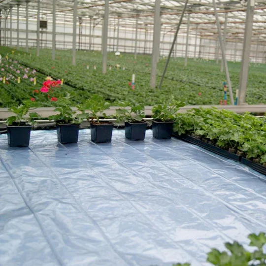 Professionelle Wärmematte für Gartenbau & Gewächshaus | Heizmatte für Aussaat, Keimung & Jungpflanzen