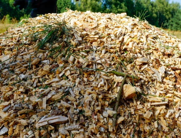 Remet RT-720R Wood Chipper – Professional disc chipper with hydraulic feed rollers | 170 mm wood thickness