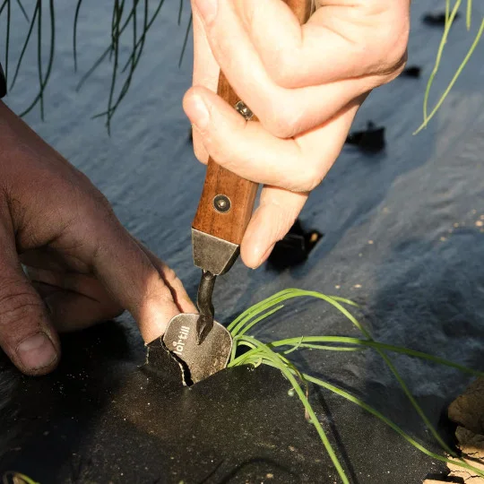 Sämlingspflanzschaufel Flortill mit Nussbaumgriff – 50 mm Pikierkelle