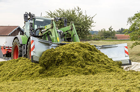 Mähgerät, Schnittgut, Schlepper, Heu, Gehäufte Biomasse