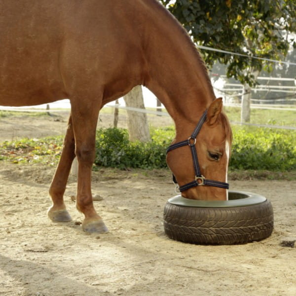 KERBL-Reifentrog-K-324826-3_600x600