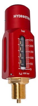 Tauchkolben-Feder-Manometer - 250 bar