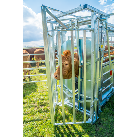 Patura Behandlungsstand A8000