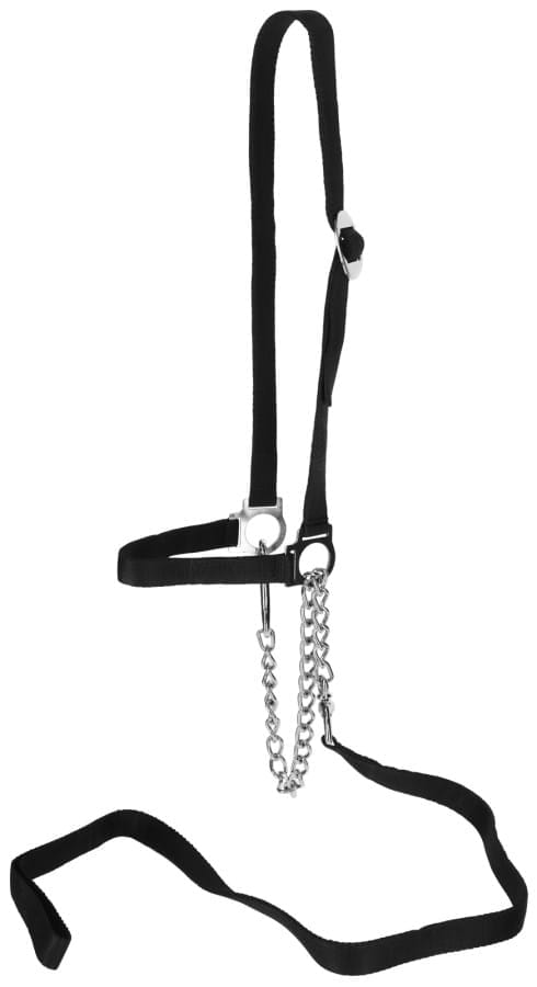 Kerbl Rinder / Kuh Vorführhalfter mit Führleine - schwarz