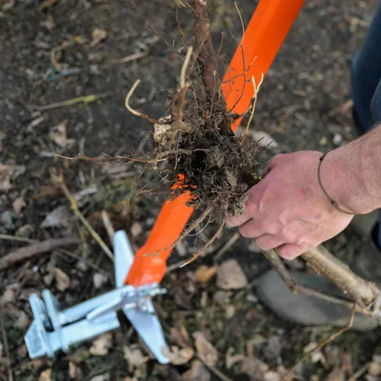 Arracher les arbustes et les arbres renforcé – outil professionnel pour déraciner les arbustes et les arbres aux racines profondes.