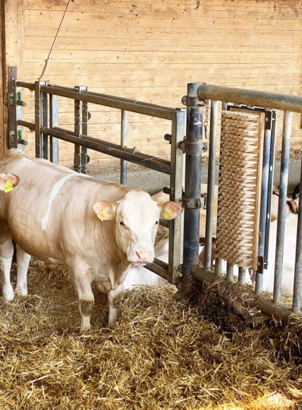 UnbenanntnNsN67B0zD7Aq_1920x1920