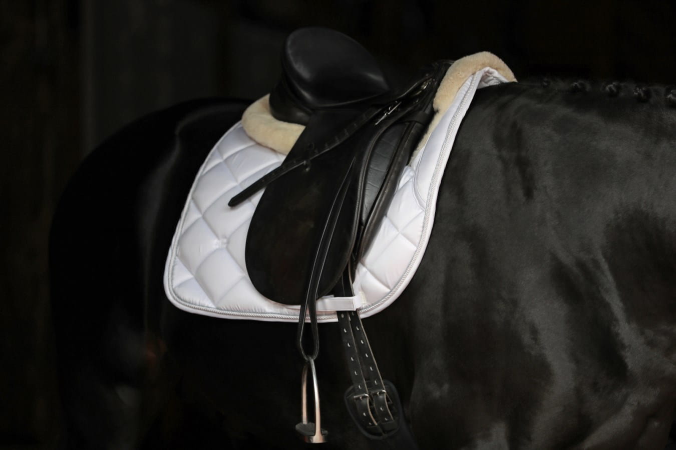 Kerbl saddle pad Empara - subtle glitter