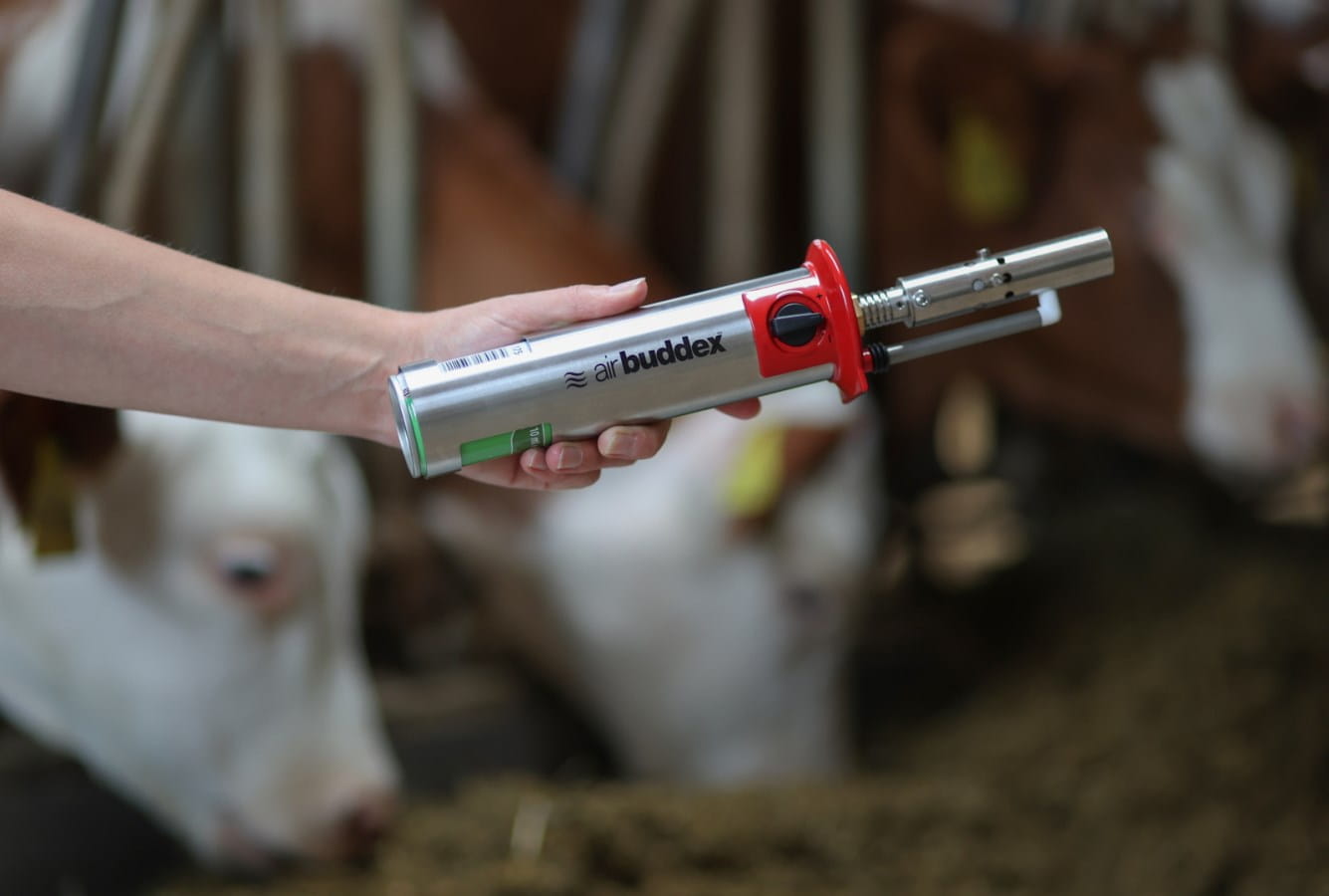 Kerbl Calf Hot Air Dehorner AirBuddex - with 100ml gas cartridge