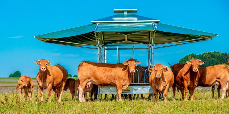 Patura Klima Viereckraufe