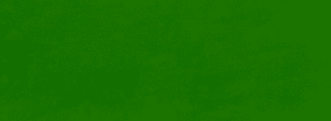 BL14980 Lack Bruns grün - 1 Liter