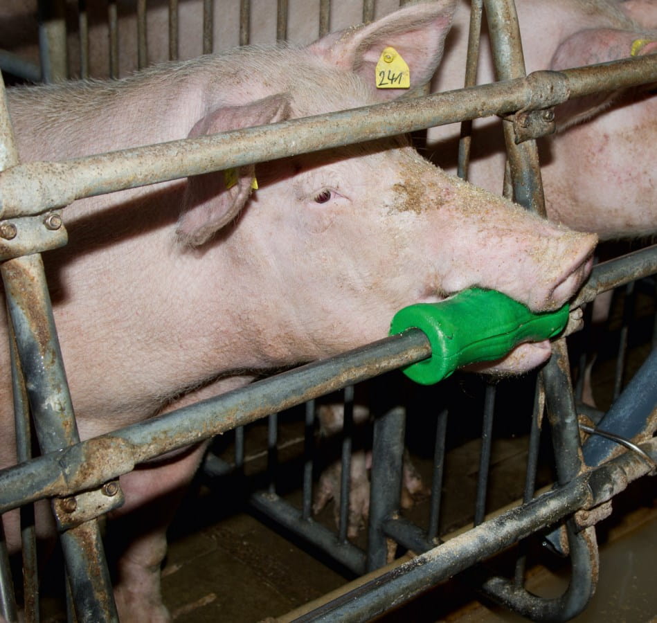 Bite cylinder - 85 x 200mm