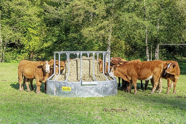 PATURA-Futtersparraufe-303577_600x600