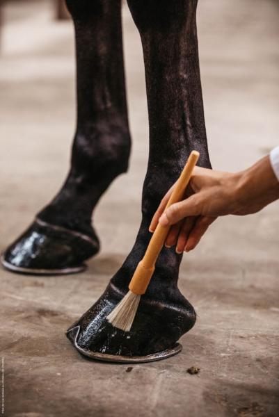 KENTUCKY-R-GROOMING-DELUXE-Hoof-Pencil-82126-05-ken-4_600x600