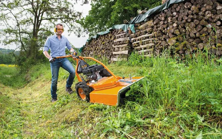 All-purpose mower AS 65 2T ES