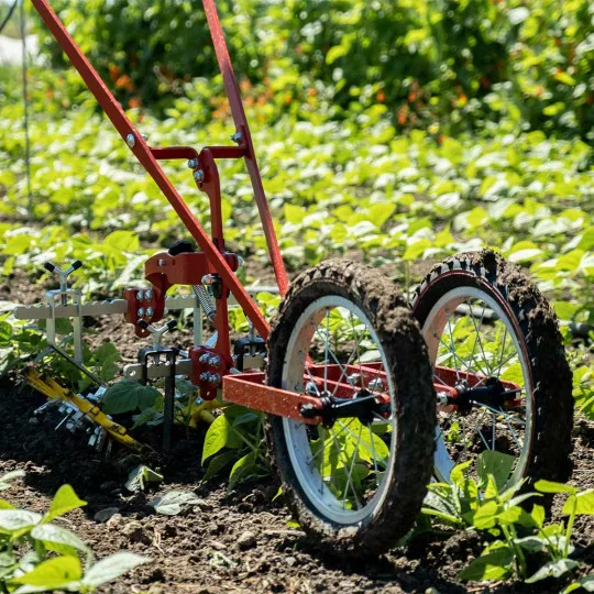 Zweirädrige Gemüse Radhacke