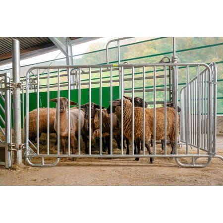 Patura Absperrgitter Duofix - Höhe 1,10m / Länge 2,00m