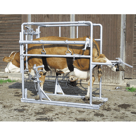 Patura Klauenpflegestand Compact