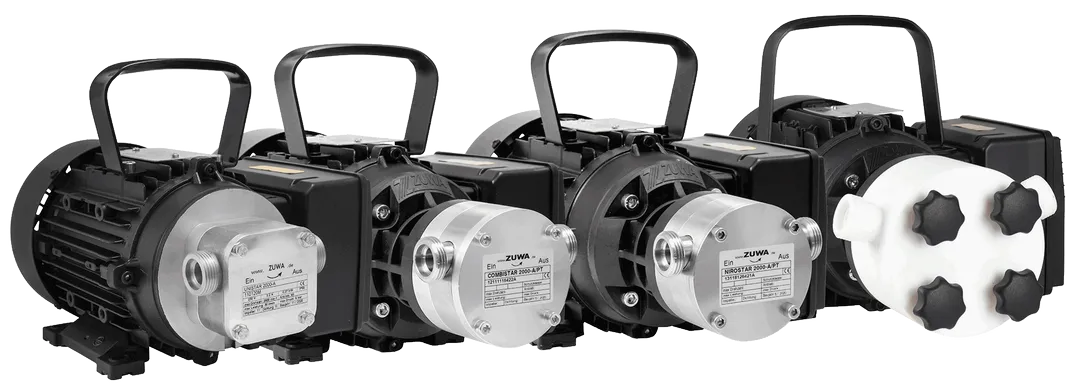 Pumpe, Poolpumpe, Zirkulationspumpe, Kompakte Pumpe, Elektromotor