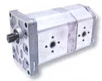 BL21395 Doppelpumpe - passend zu Case 324628A1