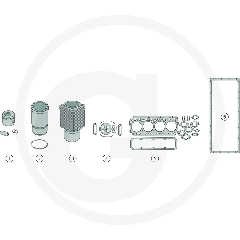 Motorreparatursatz - passend zu Steyr 8080, 8085, 8090, 8095