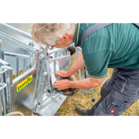 Patura Behandlungsstand Typ XL für Schafe