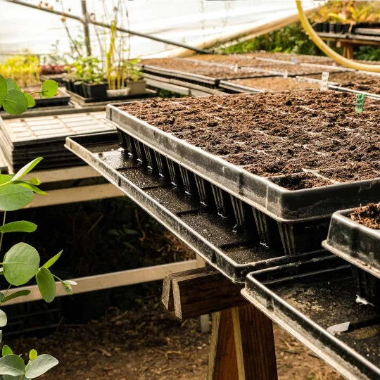 Untertasse für Quickpot-Saatplatten 310x530 mm – Profi Bewässerungswanne für Kapillarbewässerung, Jungpflanzen & effiziente Pflanzenanzucht