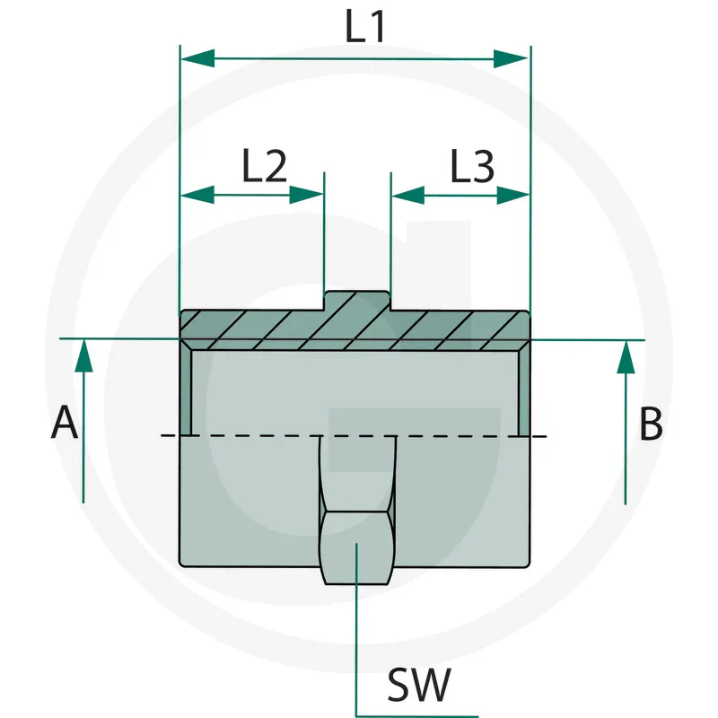 Gerader Adapter Innengewinde M10x1