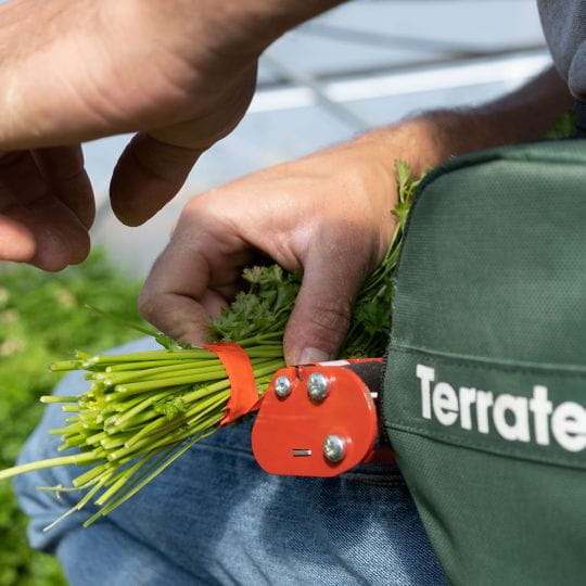 Portable bundling device with tape dispenser