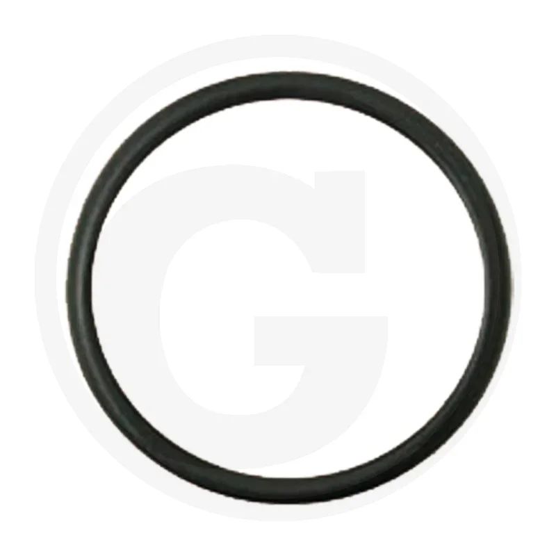 O-Ring 25 x 4