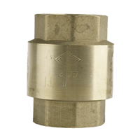 BL11525 Rückschlagventil G 1" i-G 1" i