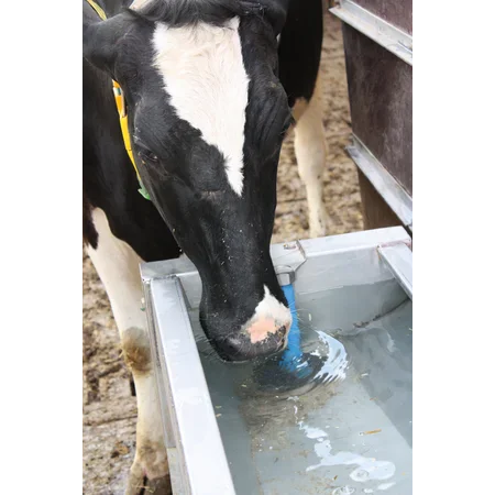 1306223_Schnellablauf-Trog_Kuh_ret.6c11da66