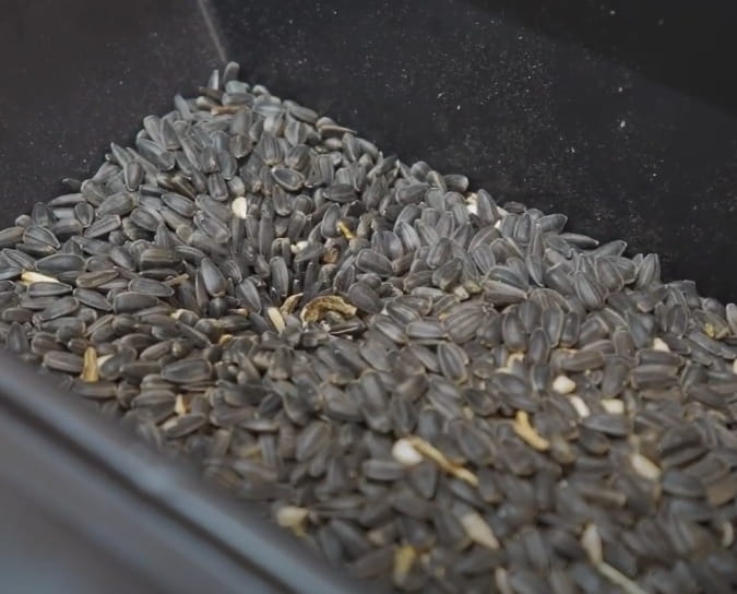 BT50 DUO Oil Press – Professional Cold Oil Press up to 12 l/h | 2.2 kW & Frequency Converter