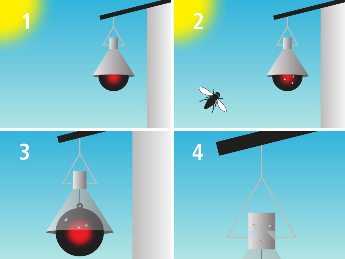 Bremsenfalle TaonX Mini - Wirkungsbereich: 100m²