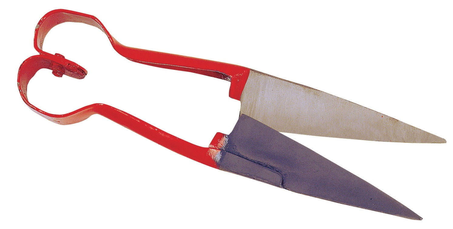 Kerbl Schafschere - 16cm