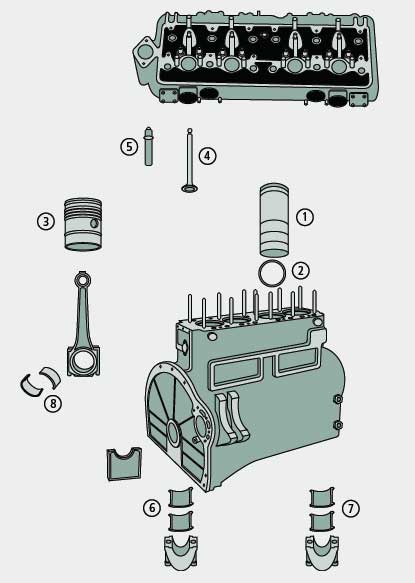 BL23072 Zylinderdichtring
