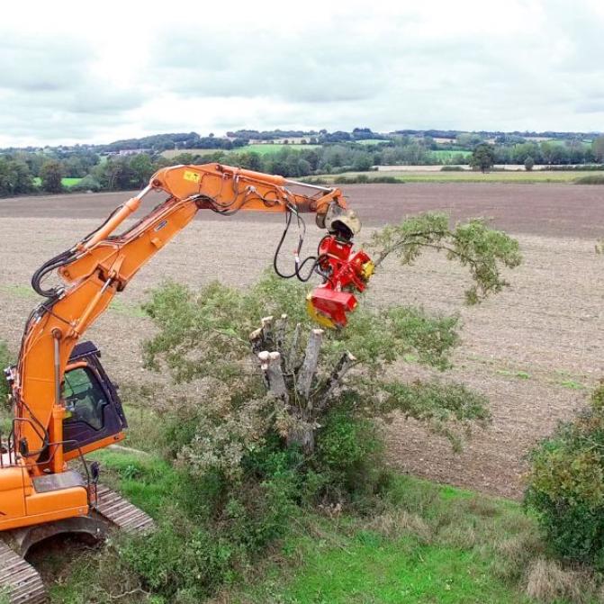Rabaud tree cutter for excavators - XYLOCUT PE