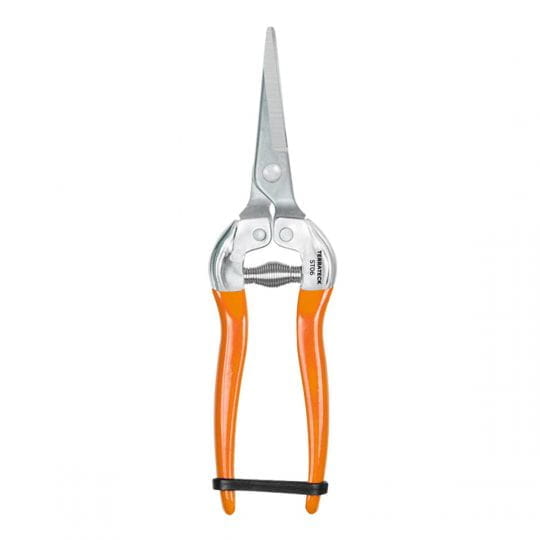 N001006 Schere für den Gemüsebau ST06 – Lange, gerade Scherenblätter aus Edelstahl