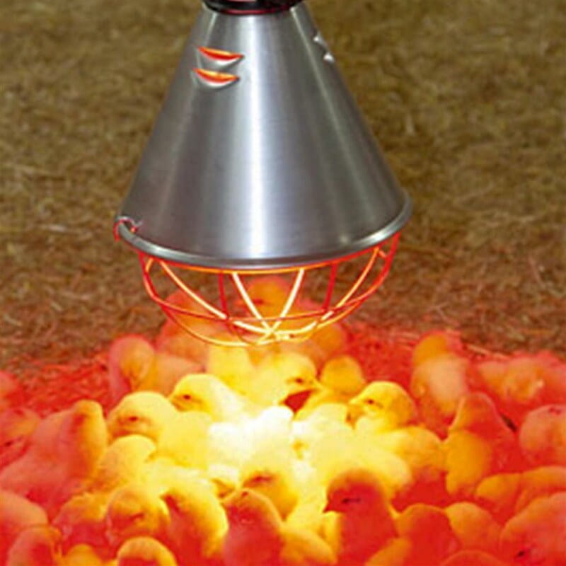 Stable lamp for infrared bulbs
